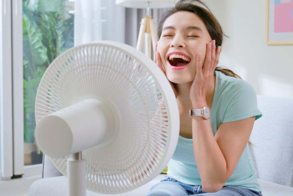 ventilatore